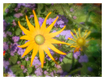 Like Sun Rays - бесплатный image #475897